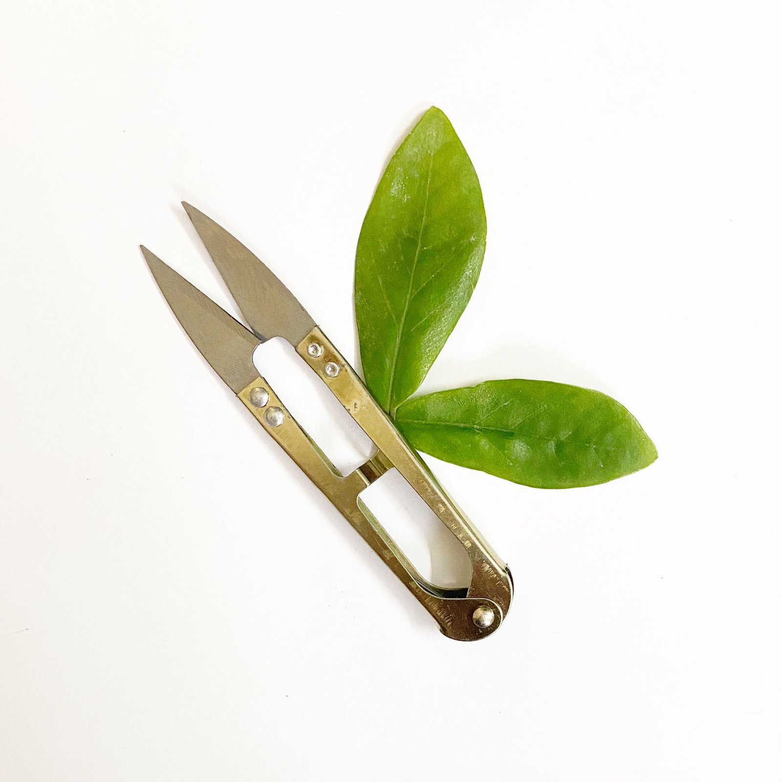 table thread cutter