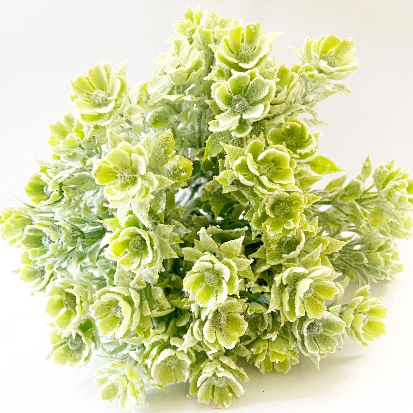 Flowers Craftrootsindia