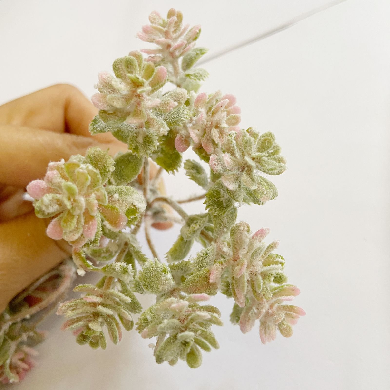 Flowers Craftrootsindia