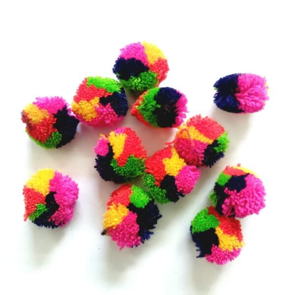 Multi Color Pom Pom