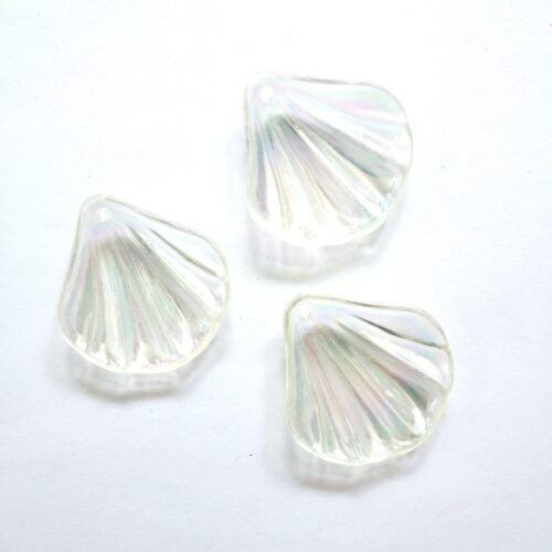 Transparent Sea Shell