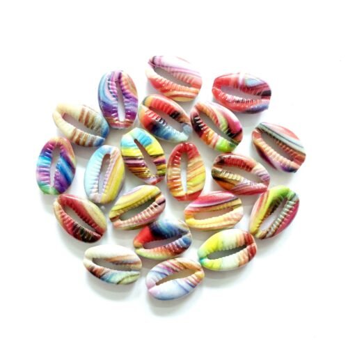 Acrylic Multicolour Half Cowrie Shell